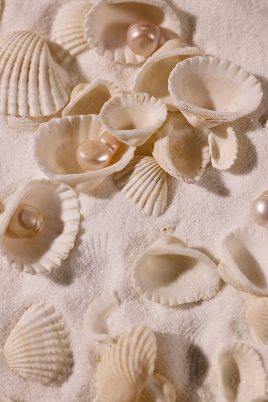 Why Saltwater Pearl Is Superior To Freshwater Pearl?