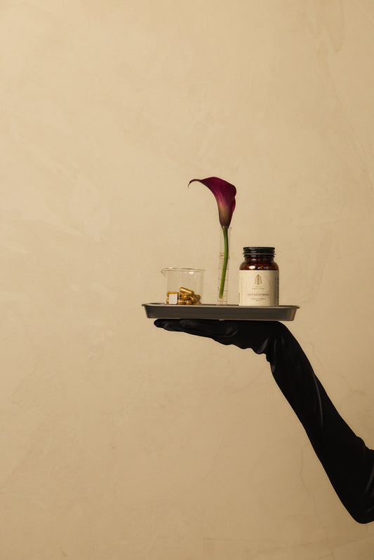 Why Winter Is Not a Fat-Loss Season (Biologically)