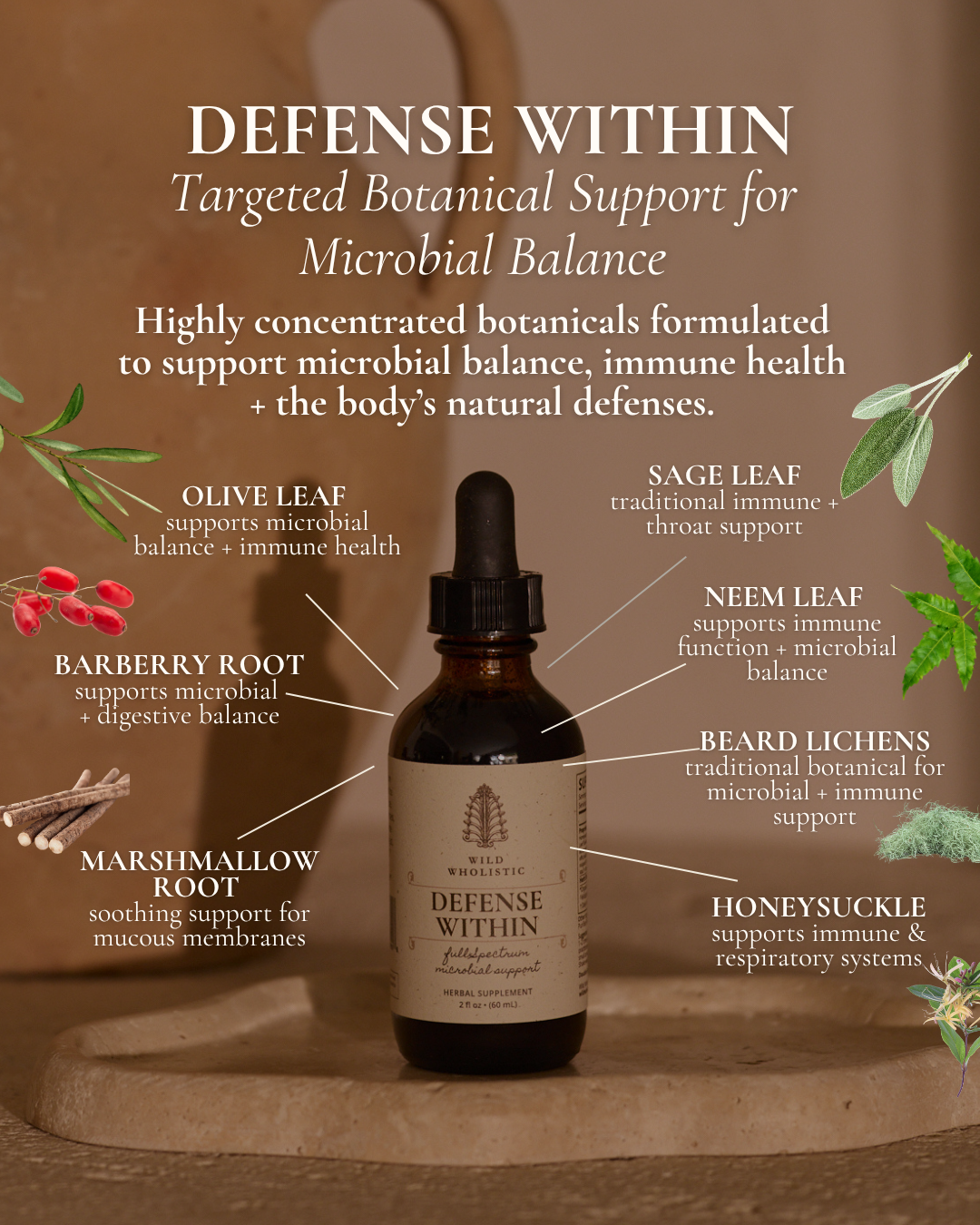 DEFENSE WITHIN